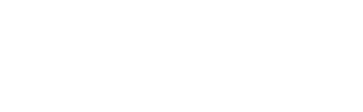 IT Service Desk - Partners - Verint