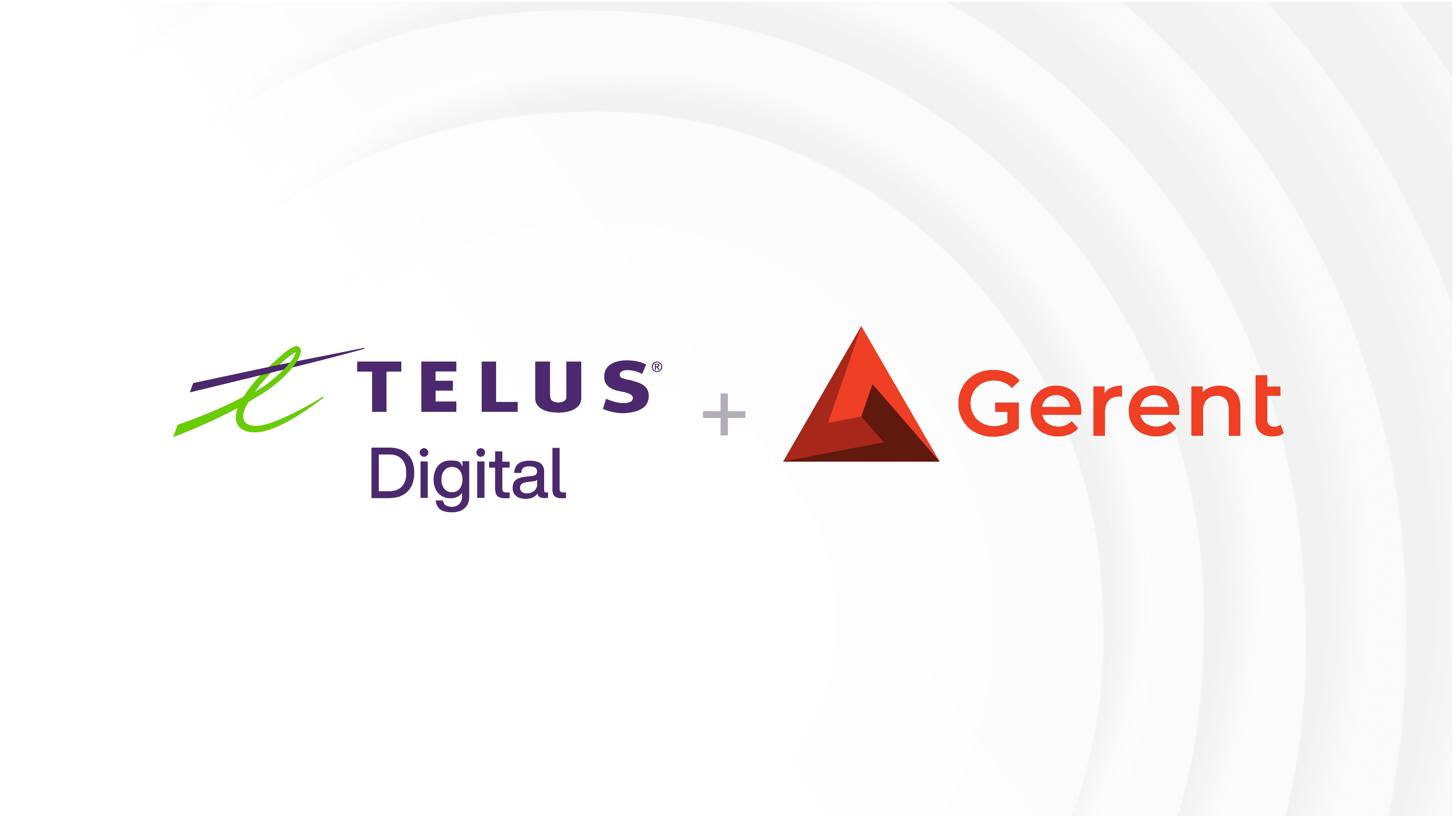 TELUS Digital Gerent