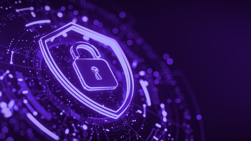 Illustration of a lock on a shield, meant to convey security against fraud when crowdsourcing AI data