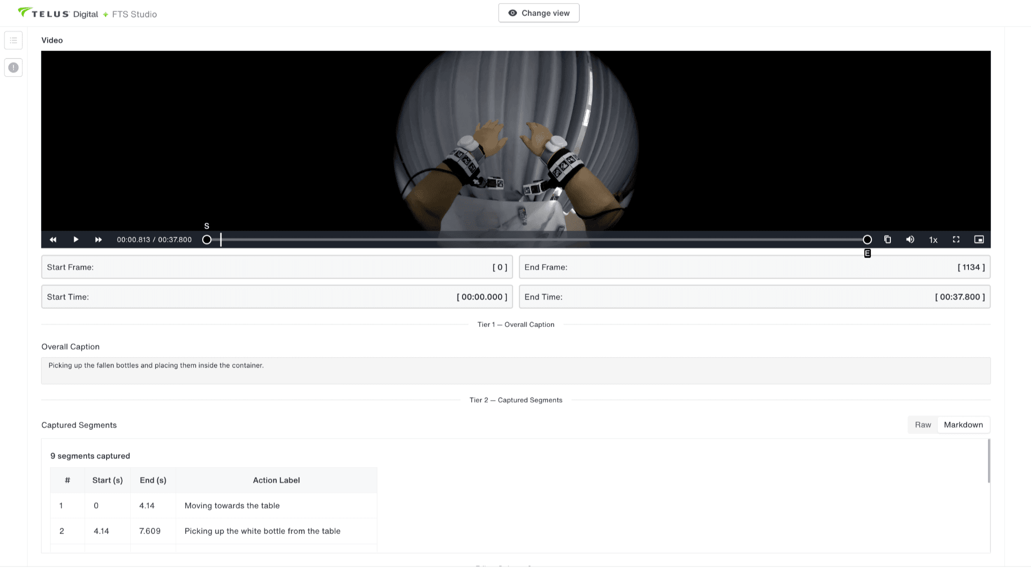Multimodal Annotation Task