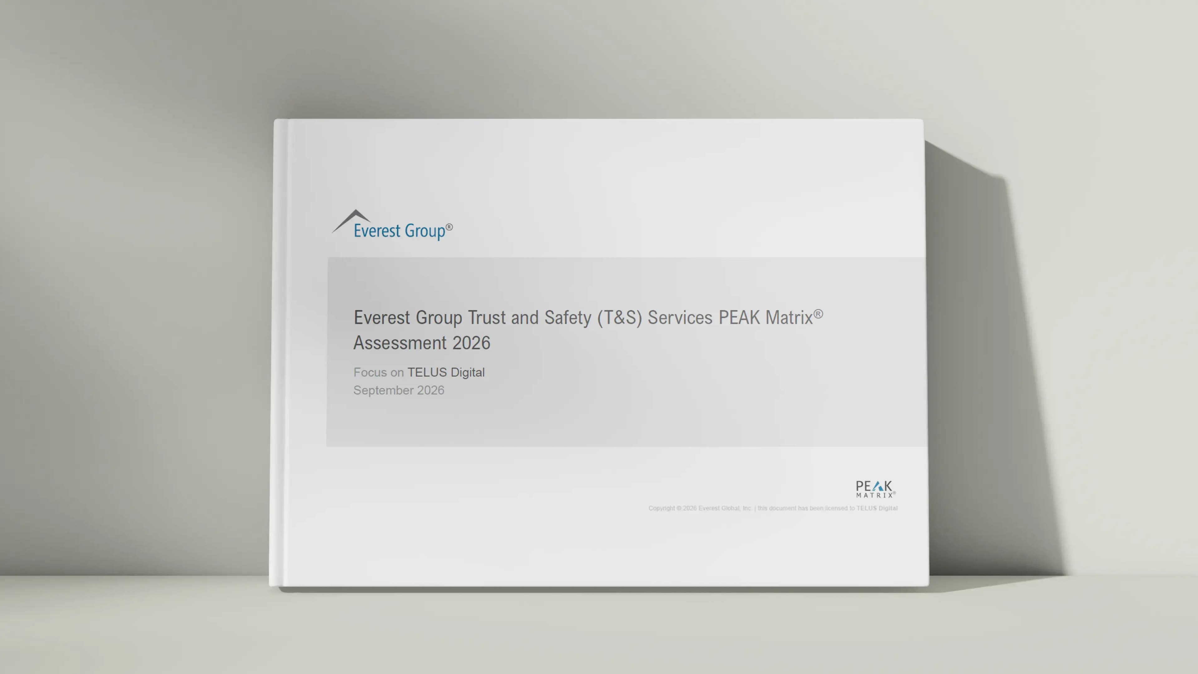 Everest Group Trust and Safety (T&S) Services PEAK Matrix® Assessment 2026 - Preview