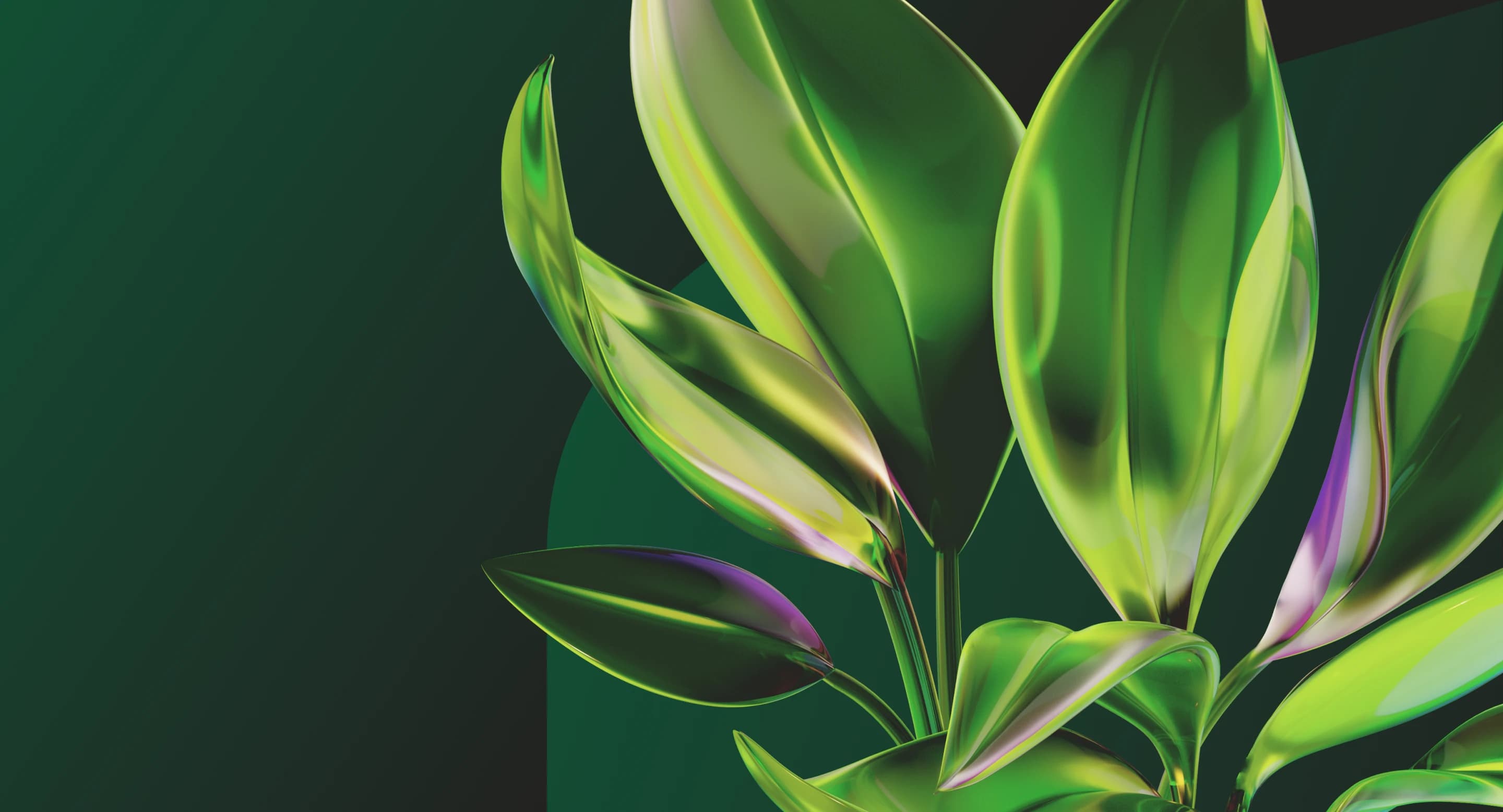 Web-Mobile-Digital-Marketing desktop background-asset