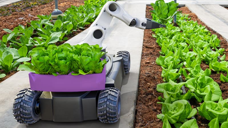 Autonomous technology working in a garden