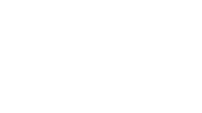 Gemini-primary-light